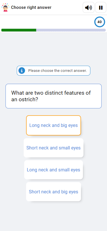 Quizzes